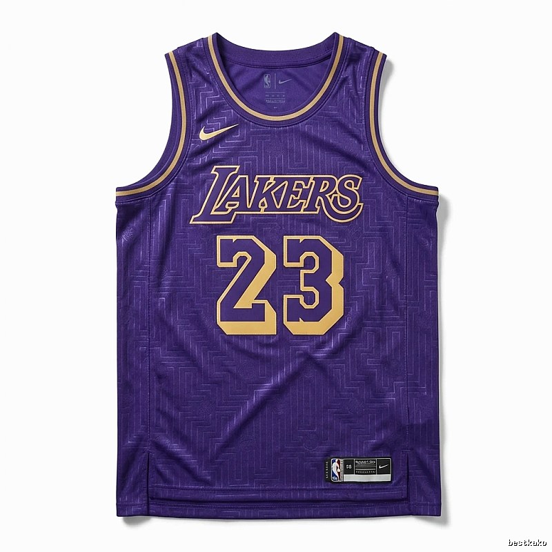 LBJ Lakers retro purple jersey